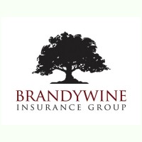 Brandywine Insurance Group logo - Similar company to Porter & Curtis, A Division Of Heffernan Insurance Brokers