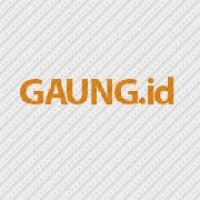 Gaung Network logo - Similar company to Ideas Measure