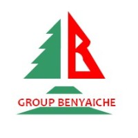 Groupe Benyaiche logo - Similar company to Extrav De Construction