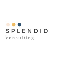 Splendid Consulting logo - Similar company to Positive Equation | Dana Snyder