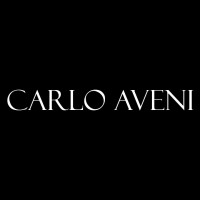 Carlo Aveni logo - Similar company to Relevance Models