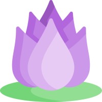 RAE Consultores logo - Similar company to Sales Tech Argentina