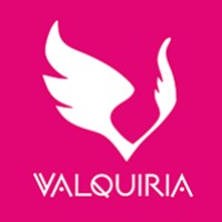 Valquiria Visual Ltda