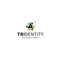 Trident Digital Tech Pte Ltd logo - Similar company to Ceesolution Pte. Ltd.