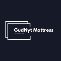 GudNyt Mattress logo - Similar company to Springlife Mattress