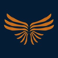 Rize Capital logo - Similar company to O' Solution