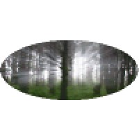 Tree Logic, Inc.