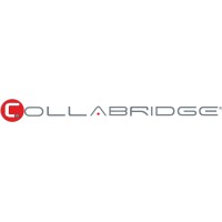 Collabridge Solutions Inc logo - Similar company to Digidexxt Information Systems Private Limited