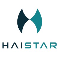 Haistar logo - Similar company to Ocommerce