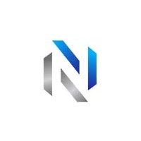 Net DirXions Inc.