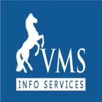 VMS Info Services logo - Similar company to Terrano Info Solutions Inc