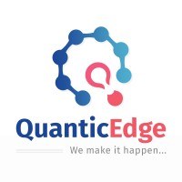 QuanticEdge Software Solutions logo - Similar company to Mega It