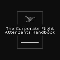 The Corporate Flight Attendant’s Handbook logo - Similar company to Higher Standards Vip Flight Attendant Training