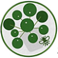 Andy Campbell Consulting logo - Similar company to Conway-Ellis Consultants Ltd