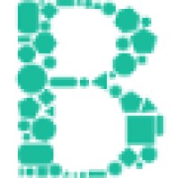 Brainybatch Internet Pvt. Ltd. logo - Similar company to Bitgram Technologies Pvt. Ltd