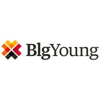 BLG Family Office logo - Similar company to Friends Foundation