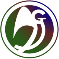 2Go Solutions logo - Similar company to Veronym