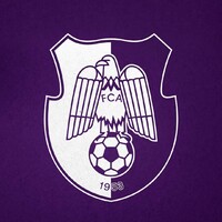 FC Argeș logo - Similar company to Hib Petrol