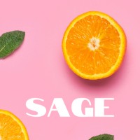 SAGE Managed Services logo - Similar company to Frame
