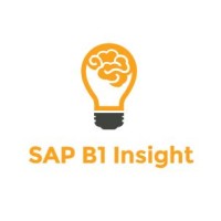 SAP B1 Insight logo - Similar company to Softtrust-Sapb1 Services