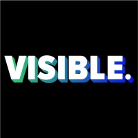 Visible Consulting Group logo - Similar company to Attrakt