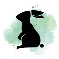 Rappbit Games logo - Similar company to Klugecoded Gmbh