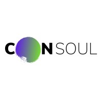 Consoul Ltd logo - Similar company to Pro-Noctis