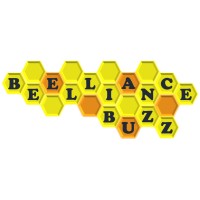 Beelliance Buzz Private Limited logo - Similar company to Inevitable Infotech