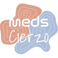 MEDS Cierzo logo - Similar company to Spatialthink