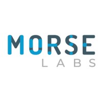 Morse Labs, Inc. logo - Similar company to Drashti Llc