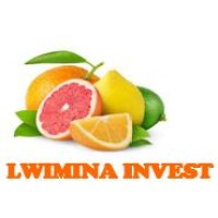 LWIMINA INVEST sarl logo - Similar company to Astam Developpement Sarl Au