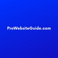 Pro Website Guide