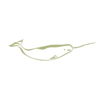 Narwhal Capital Management logo - Similar company to Loki Group, Inc. / Loki Equity Ventures