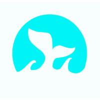 Everything Socks logo - Similar company to Elastos