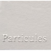 Particules logo - Similar company to Acropolis-I