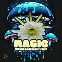 Magic Mushrooms Delivery logo - Similar company to Mushroom Gummies