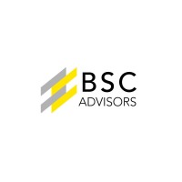 BSC ADVISORS logo - Similar company to Acey Engineering Pvt Ltd