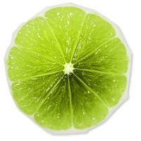 Fresh Lime Media logo - Similar company to Freshlime Media