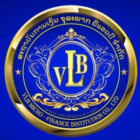 VLB Non-Deposit Taking Microfinance Institution Co., Ltd logo - Similar company to Ebit Consultancy Co., Ltd