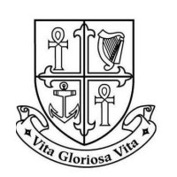 The National Maternity Hospital logo - Similar company to Local-Workshop
