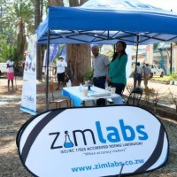 Zimlabs logo - Similar company to Zimlabs