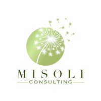 MISOLI CONSULTING logo - Similar company to Bth Consulting