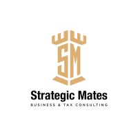 Strategic Mates logo - Similar company to Enterprise Advisory