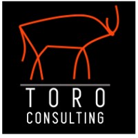 TORO Consulting logo - Similar company to Toro Consulting