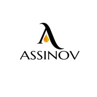 ASSINOV logo - Similar company to Eurl Mgs