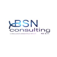 BSN Consulting 42 logo - Similar company to Computer Solutions S.P.A.