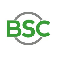 Baltic Structures Company GmbH logo - Similar company to Eagle-Access B.V.