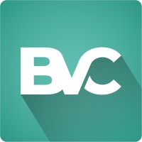 BVC Consulting Switzerland | Mining & Power Generation Specialists logo - Similar company to Data Unit Ag