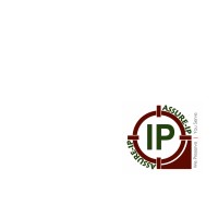 Assure-IP (India) logo - Similar company to Lexacquilam