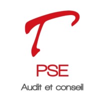 Groupe PSE logo - Similar company to Pro.I.Bat Incendie